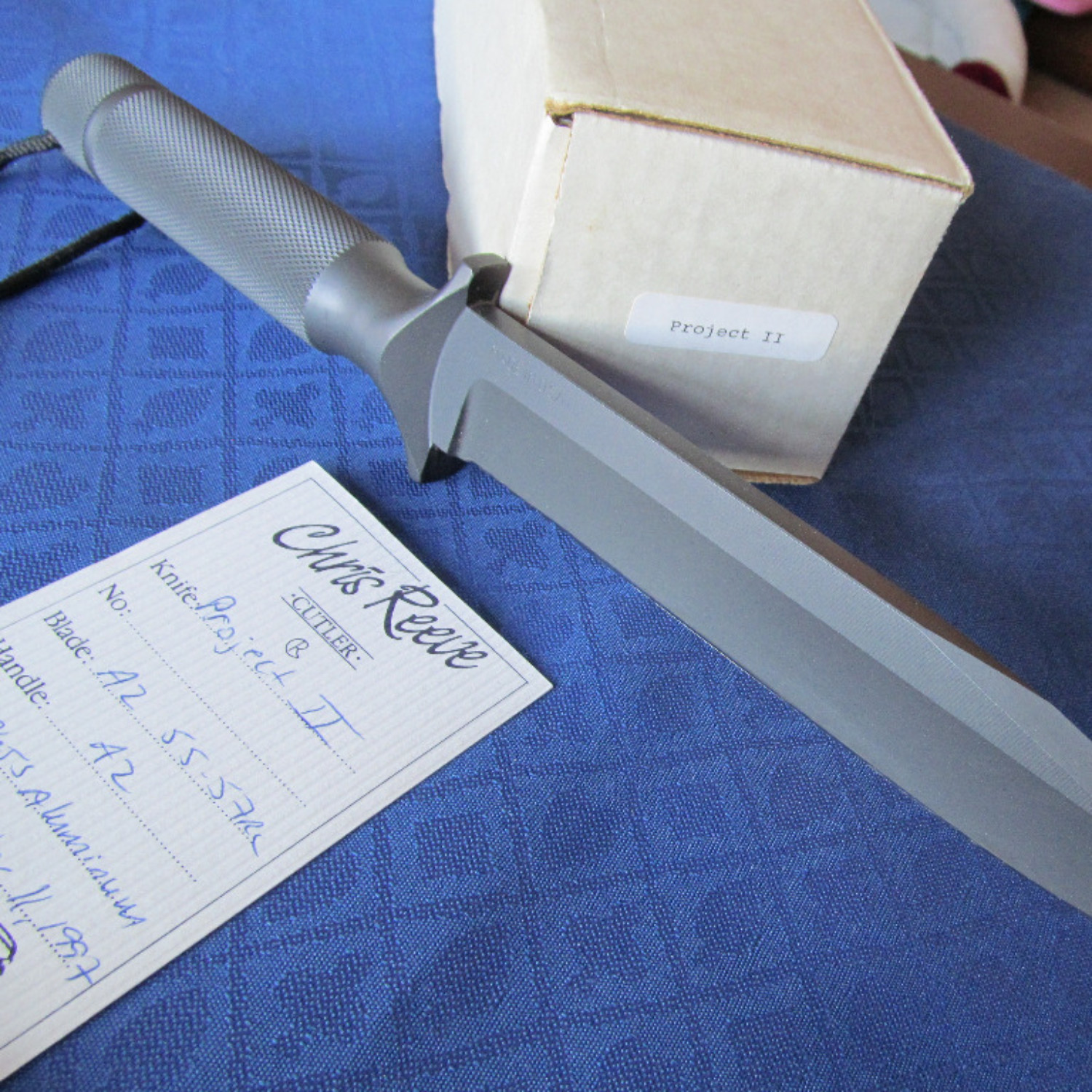 Bladebinge - Chris Reeve Project II Clip Point *Reduced From $1300