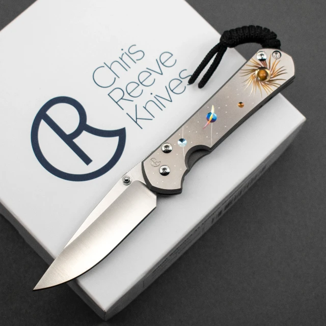 Bladebinge - Chris Reeve Small Sebenza 31 