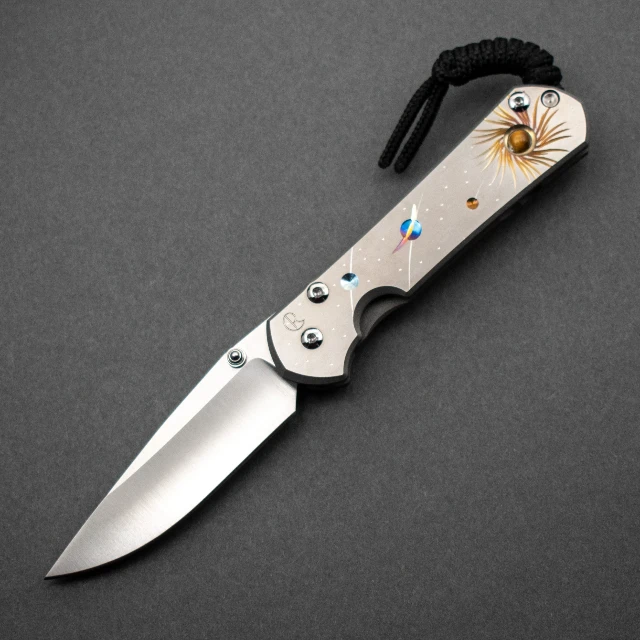 Bladebinge - Chris Reeve Small Sebenza 31 