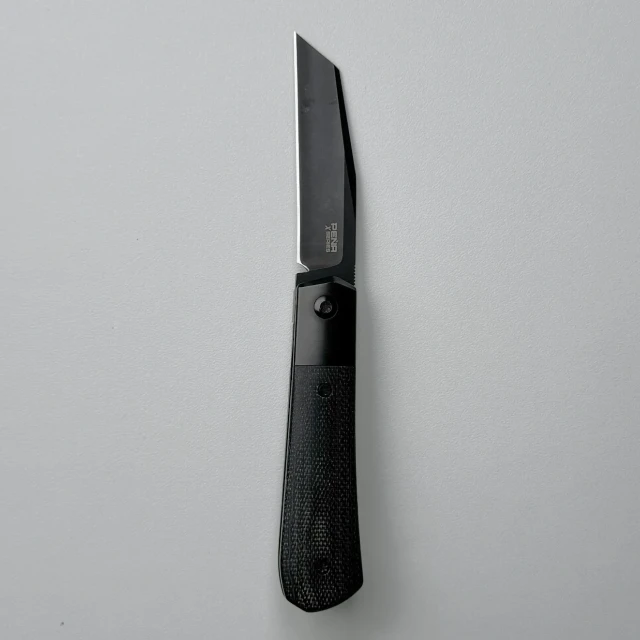 Bladebinge - Pena X-Series Raptor Front Flipper M390 Titanium Micarta ...