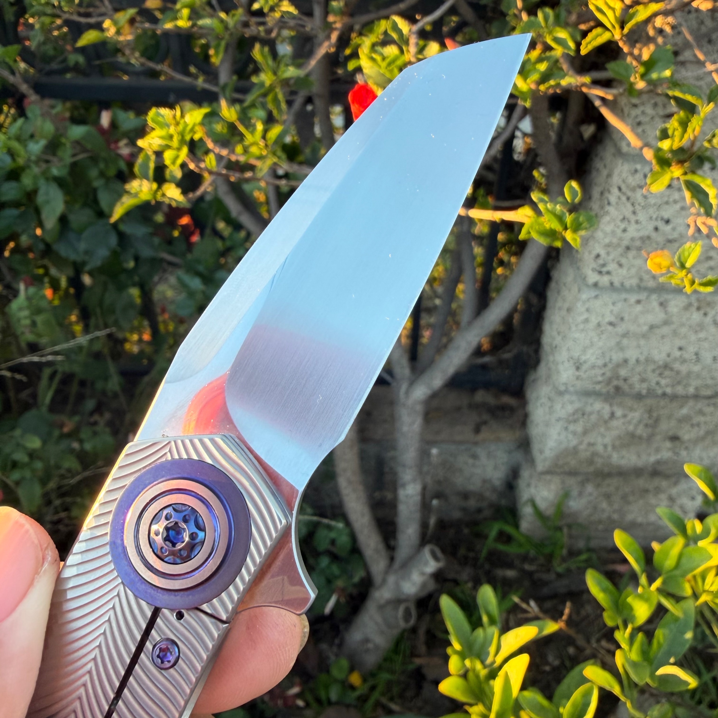 Bladebinge - 🌶️🌶️ Skiff Asylum Custom Satin 154CM Blade Purple Accents ...
