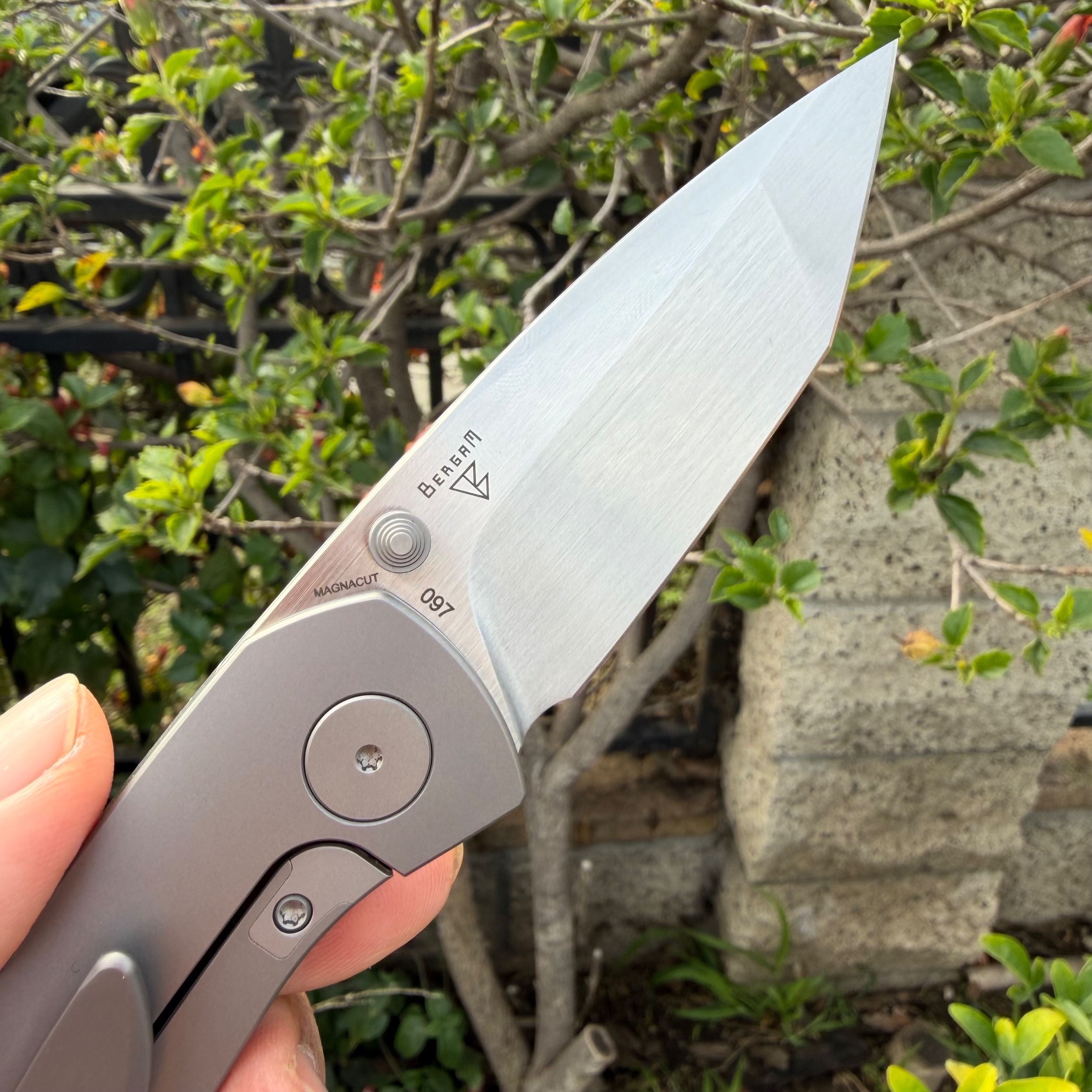 Bladebinge - 🌶️🌶️ Dalibor Bergam Asgard Integral Titanium