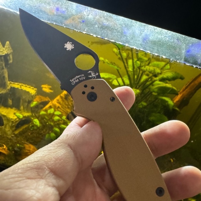 Bladebinge Spyderco Para 3 10V REC Exclusive Coyote Brown Rivers Edge