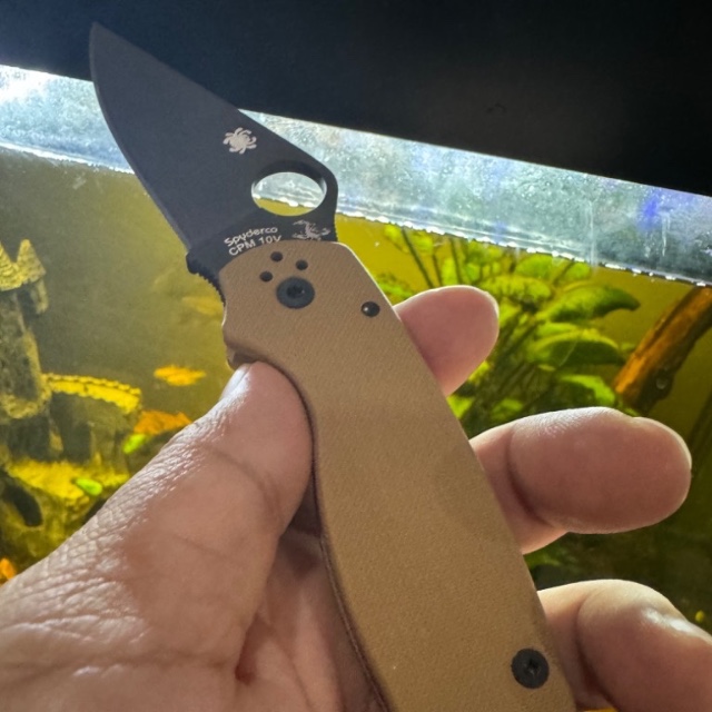Bladebinge Spyderco Para 3 10V REC Exclusive Coyote Brown Rivers Edge