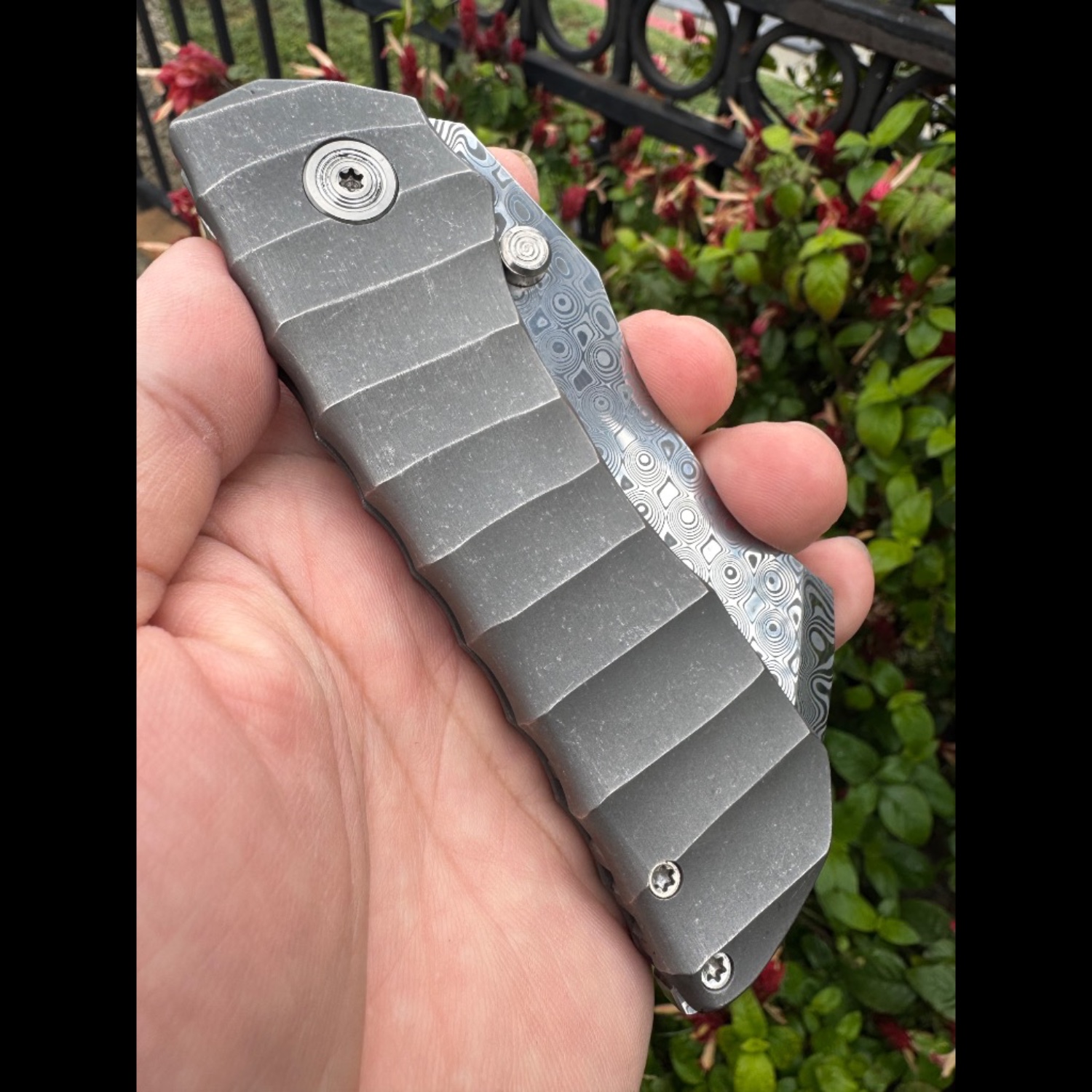 Bladebinge - 🔥🔥 Darac Steel Toucan XXL Custom Knife Damasteel