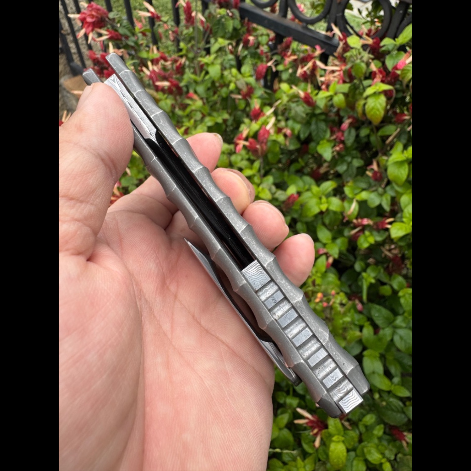 Bladebinge - 🔥🔥 Darac Steel Toucan XXL Custom Knife Damasteel