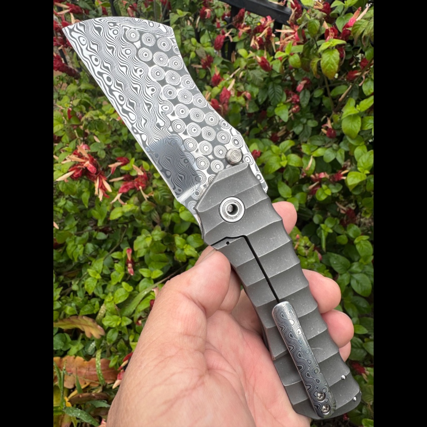 Bladebinge - 🔥🔥 Darac Steel Toucan XXL Custom Knife Damasteel