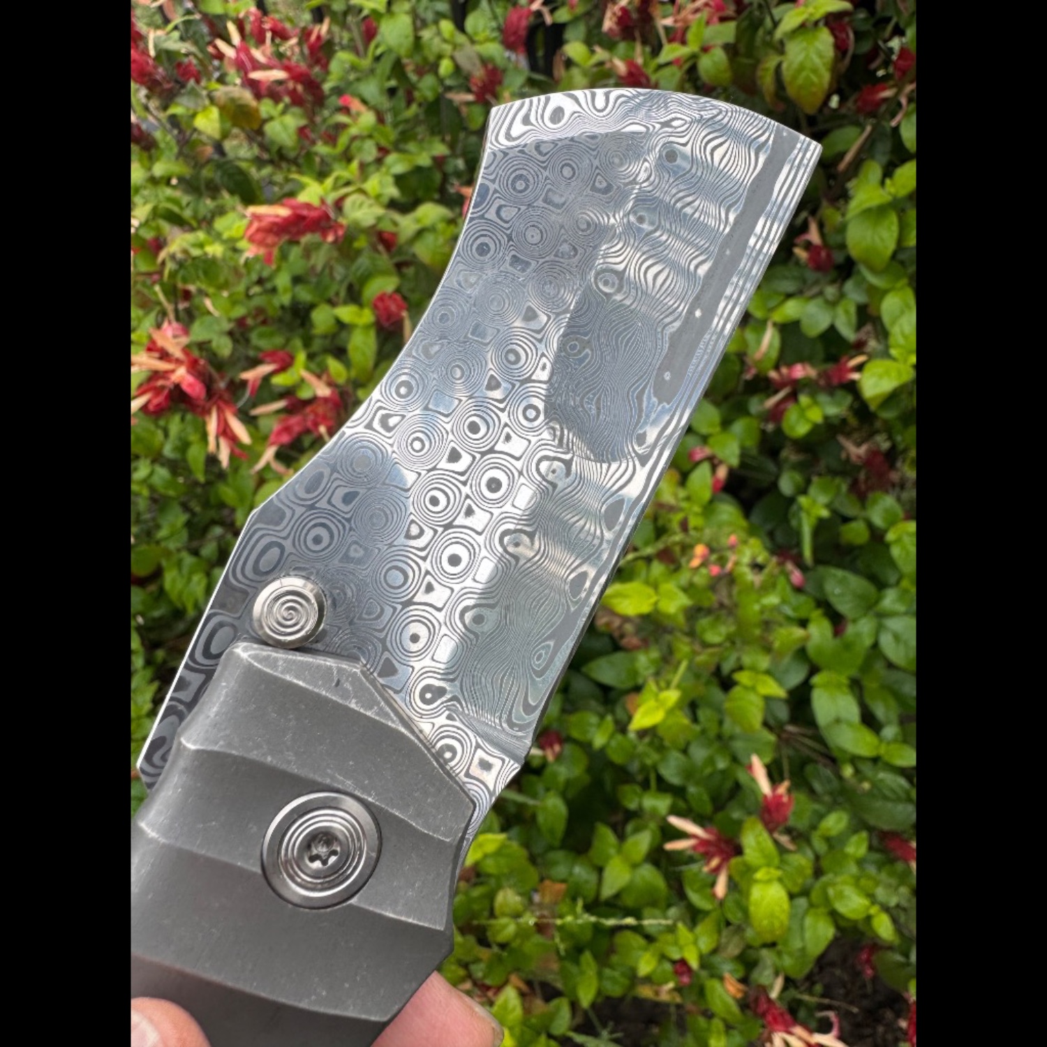 Bladebinge - 🔥🔥 Darac Steel Toucan XXL Custom Knife Damasteel