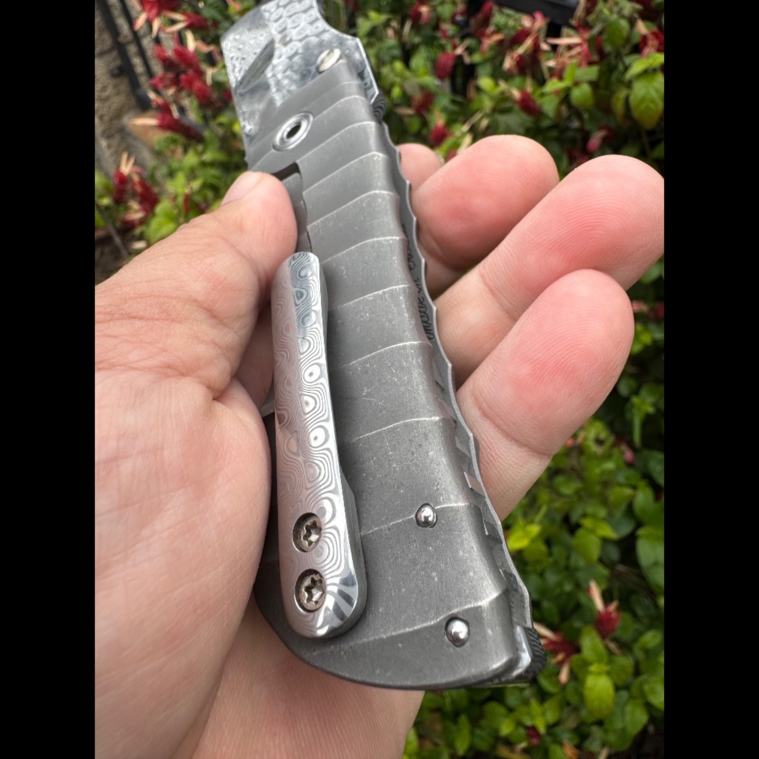 Bladebinge - 🔥🔥 Darac Steel Toucan XXL Custom Knife Damasteel