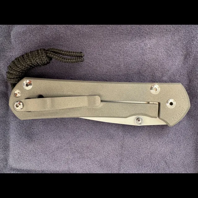 Bladebinge - Chris Reeve Large Sebenza 31 S45VN - Silver Double Lug