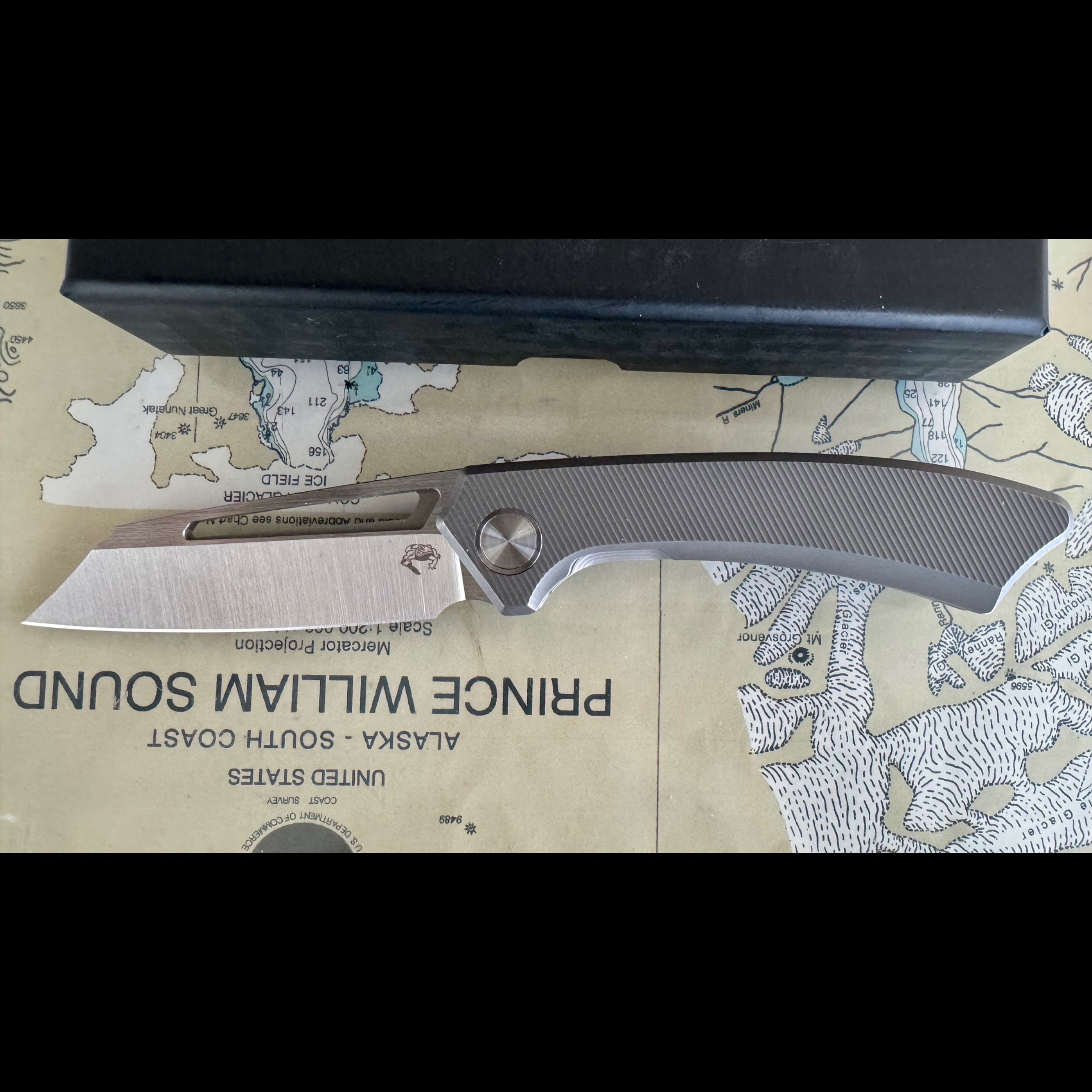 Bladebinge - Gecko CUSTOMZ Knifeworks PICTUS