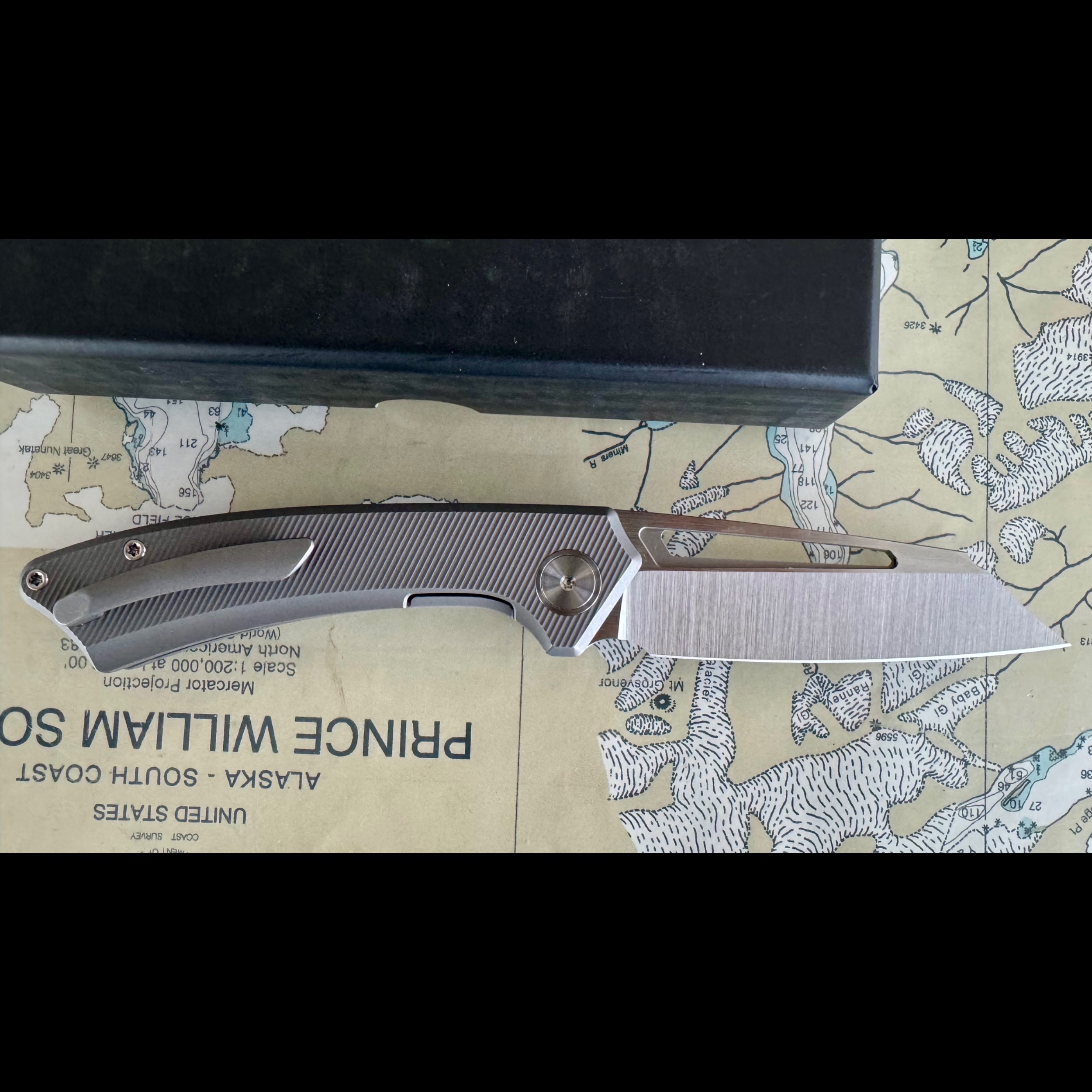 Bladebinge - Gecko CUSTOMZ Knifeworks PICTUS