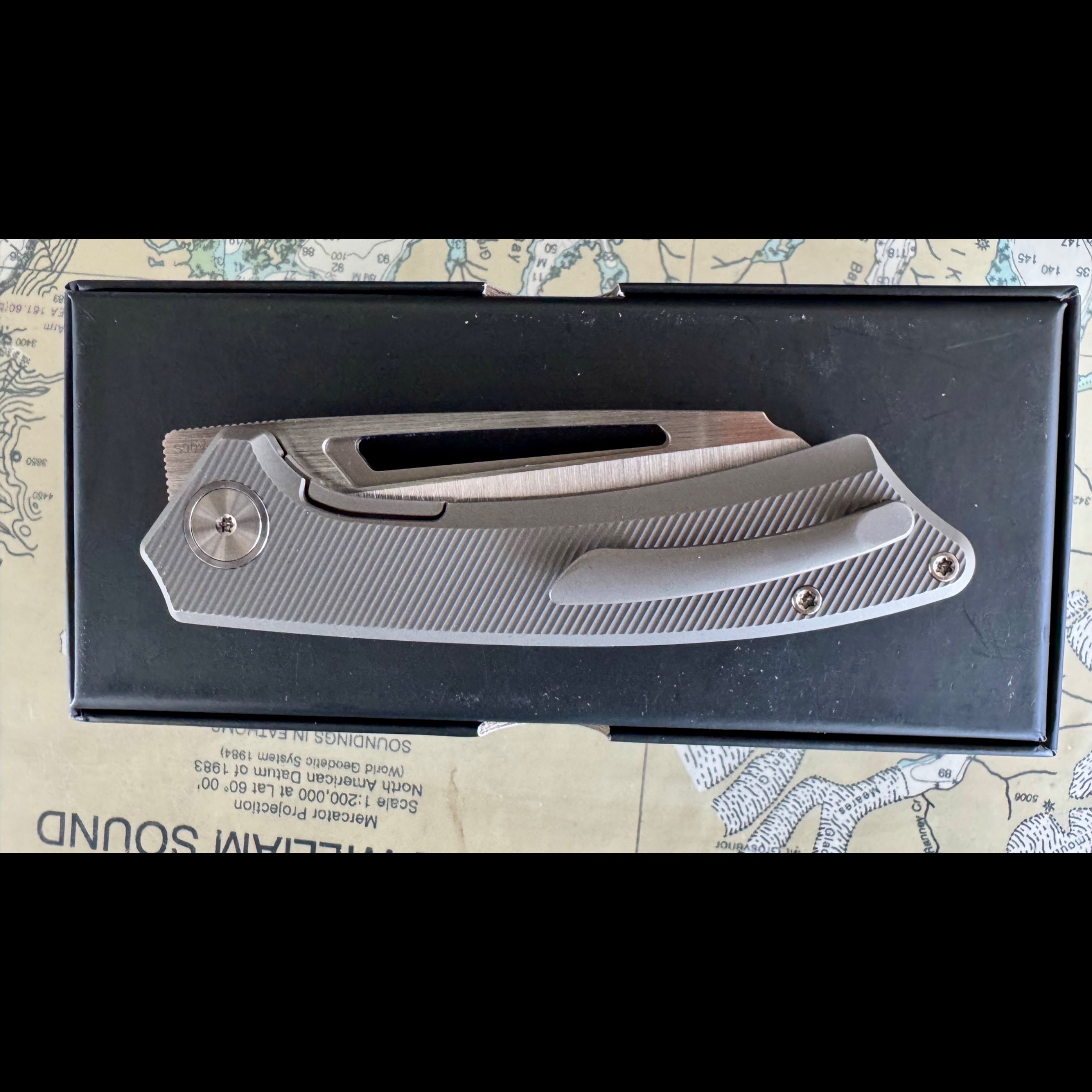 Bladebinge - Gecko CUSTOMZ Knifeworks PICTUS